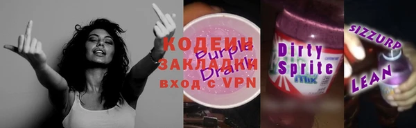 индика Арсеньев