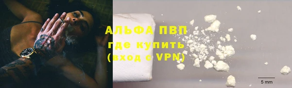 индика Арсеньев