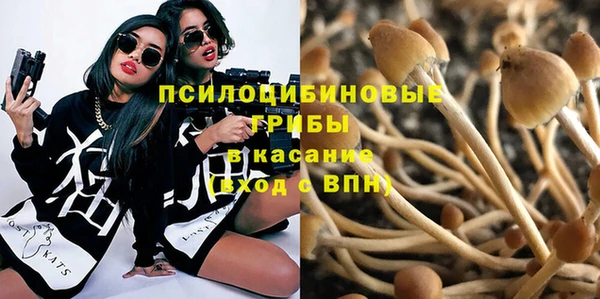твердый Аркадак