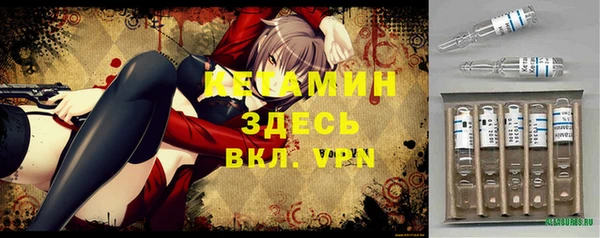 индика Арсеньев