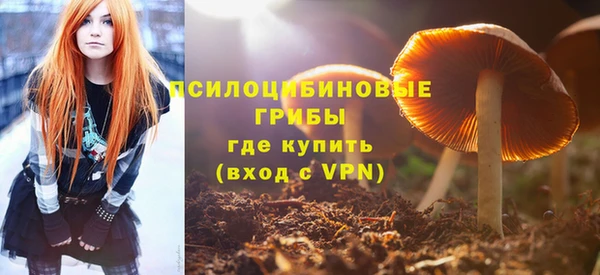 твердый Аркадак