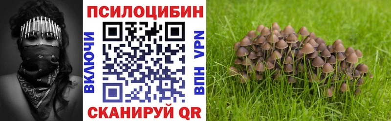 Галлюциногенные грибы MAGIC MUSHROOMS Лысково
